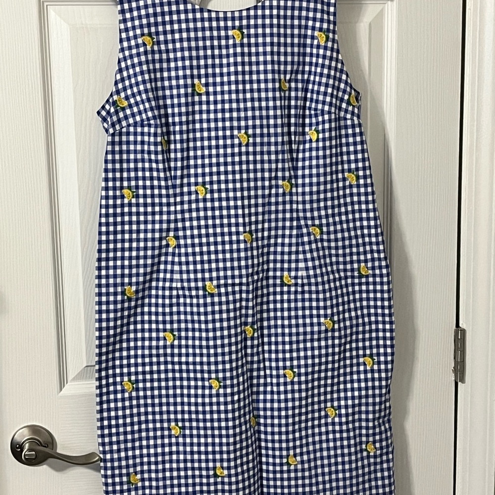 Talbots Blue and White Gingham Dress